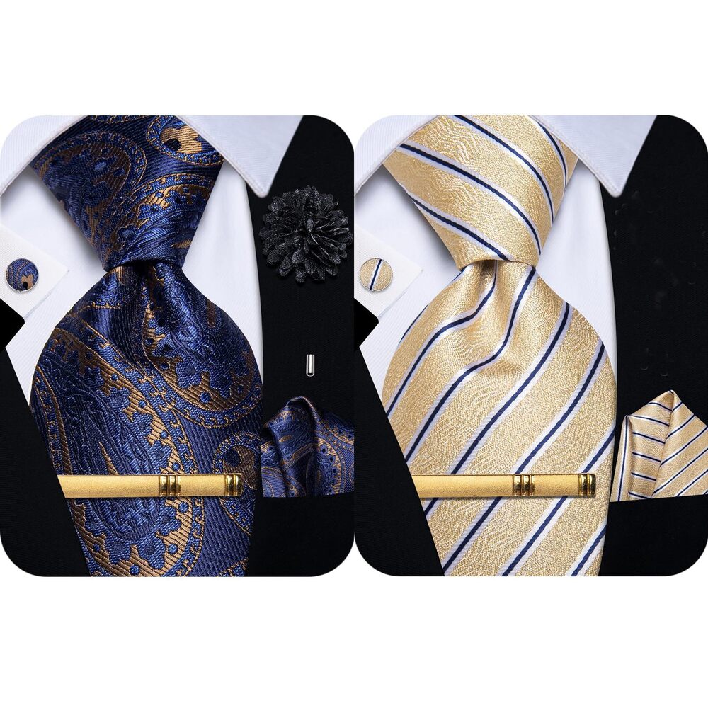 3462 Silk Ties Paisley Floral Striped Necktie and Pocket Square Cufflinks